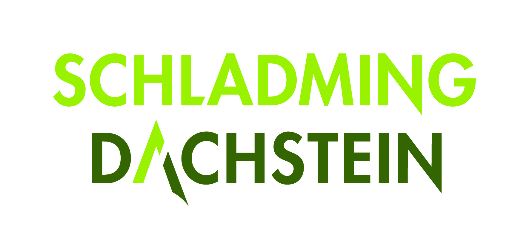 schladming-dachstein_logo.jpeg